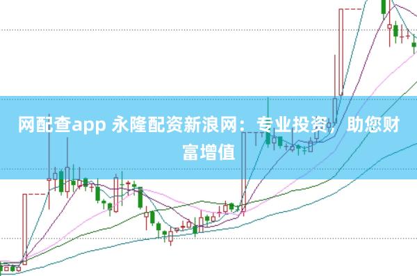 网配查app 永隆配资新浪网：专业投资，助您财富增值
