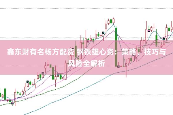 鑫东财有名杨方配资 钢铁雄心资：策略、技巧与风险全解析