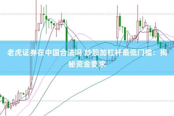 老虎证券在中国合法吗 炒股加杠杆最低门槛：揭秘资金要求