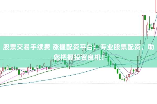 股票交易手续费 涨握配资平台：专业股票配资，助您把握投资良机！