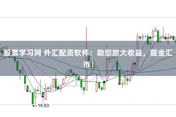 股票学习网 外汇配资软件：助您放大收益，掘金汇市！